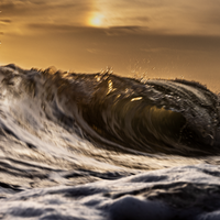 Collaroy Beach -  Salted Caramel Sunrise Wave