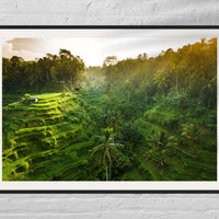 Tegalalang Rice Terrace, Ubud, Bali 7