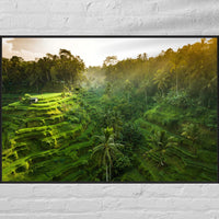 Tegalalang Rice Terrace, Ubud, Bali 7