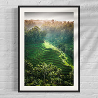 Tegalalang Rice Terrace, Ubud, Bali 6
