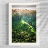 Tegalalang Rice Terrace, Ubud, Bali 6
