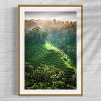 Tegalalang Rice Terrace, Ubud, Bali 6