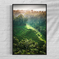 Tegalalang Rice Terrace, Ubud, Bali 6