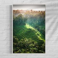 Tegalalang Rice Terrace, Ubud, Bali 6