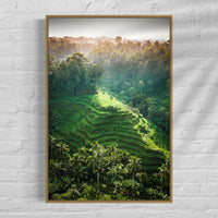 Tegalalang Rice Terrace, Ubud, Bali 6