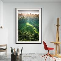 Tegalalang Rice Terrace, Ubud, Bali 6