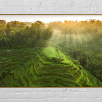 Tegalalang Rice Terrace, Ubud, Bali 4