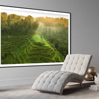 Tegalalang Rice Terrace, Ubud, Bali 4