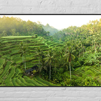 Tegalalang Rice Terrace, Ubud, Bali 3