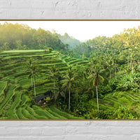 Tegalalang Rice Terrace, Ubud, Bali 3