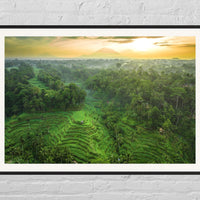 Tegalalang Rice Terrace, Ubud, Bali 8