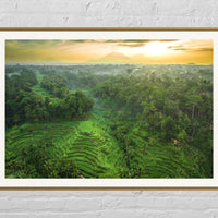 Tegalalang Rice Terrace, Ubud, Bali 8