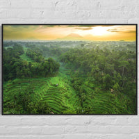 Tegalalang Rice Terrace, Ubud, Bali 8