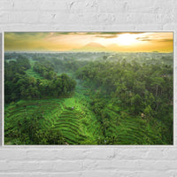 Tegalalang Rice Terrace, Ubud, Bali 8