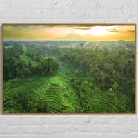 Tegalalang Rice Terrace, Ubud, Bali 8