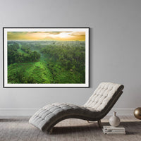 Tegalalang Rice Terrace, Ubud, Bali 8
