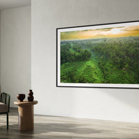 Tegalalang Rice Terrace, Ubud, Bali 8