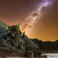 6616ab8ed8c3c268632d0a1d_cactus-island-on-salt-flat-under-milkyway_1751526637907.jpg