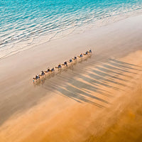6616ab8ed8c3c268632d0a1d_camels-1-1-of-1-_1748152752146.jpg