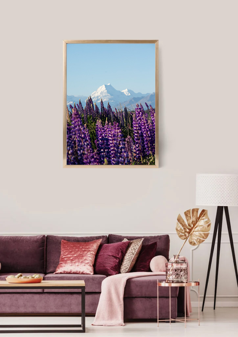 Mount Cook Lupins