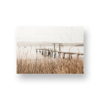 Port Arthur Reeds