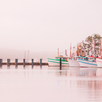 Fishing Trawlers