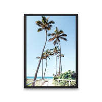Gold Coast Palms
