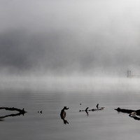 Lake St Clair