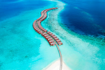 Maldives Dreaming