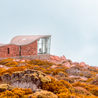 Mt Wellington