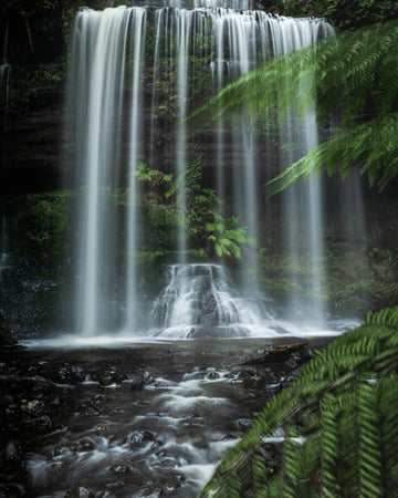 Russel Falls Tasmania