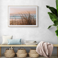 Sea Grass