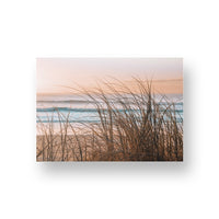 Sea Grass