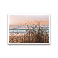 Sea Grass