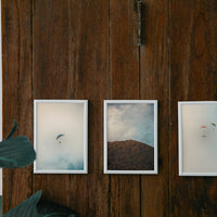 Trio Gliders