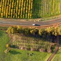 Vineyard