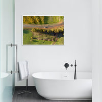 Vineyard