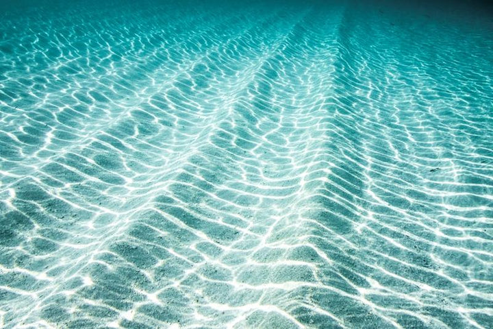 underwater-photography 