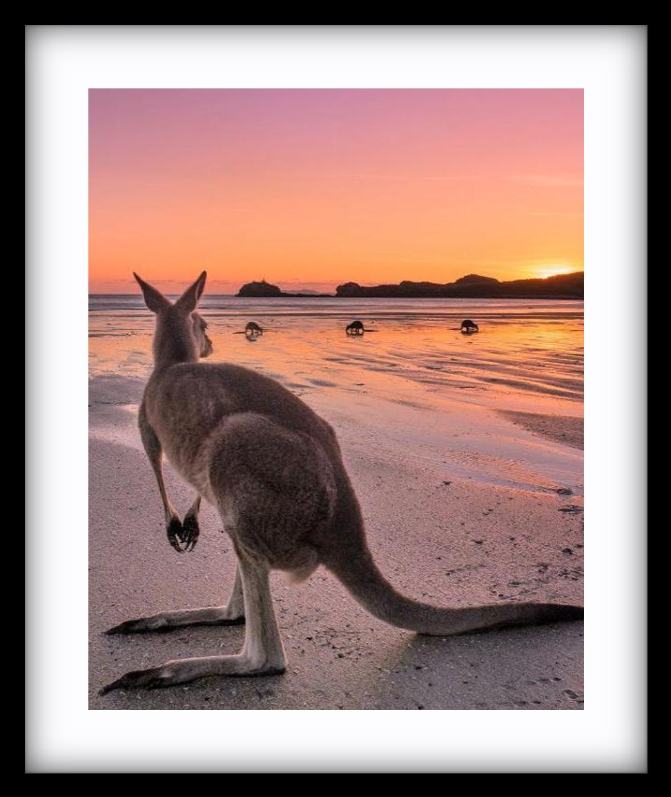 Cape Hillsborough Mackay - 2