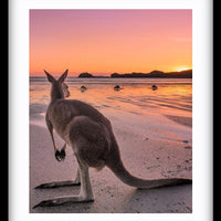 Cape Hillsborough Mackay - 2