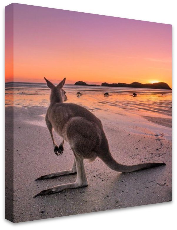 Cape Hillsborough Mackay - 5