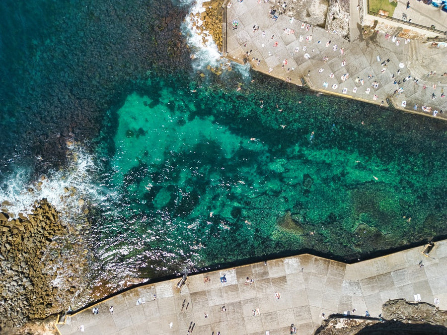 Clovelly Swimmers - 1