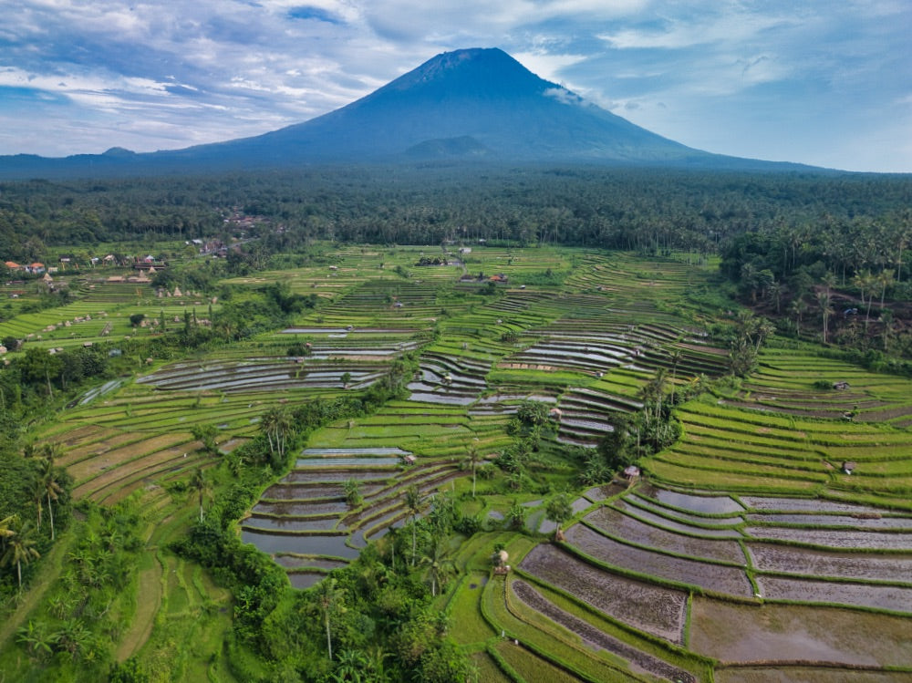 Bali - Mount Agung - 1