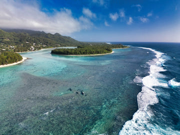 Cook Islands - Muri Lagoon Reef - 1