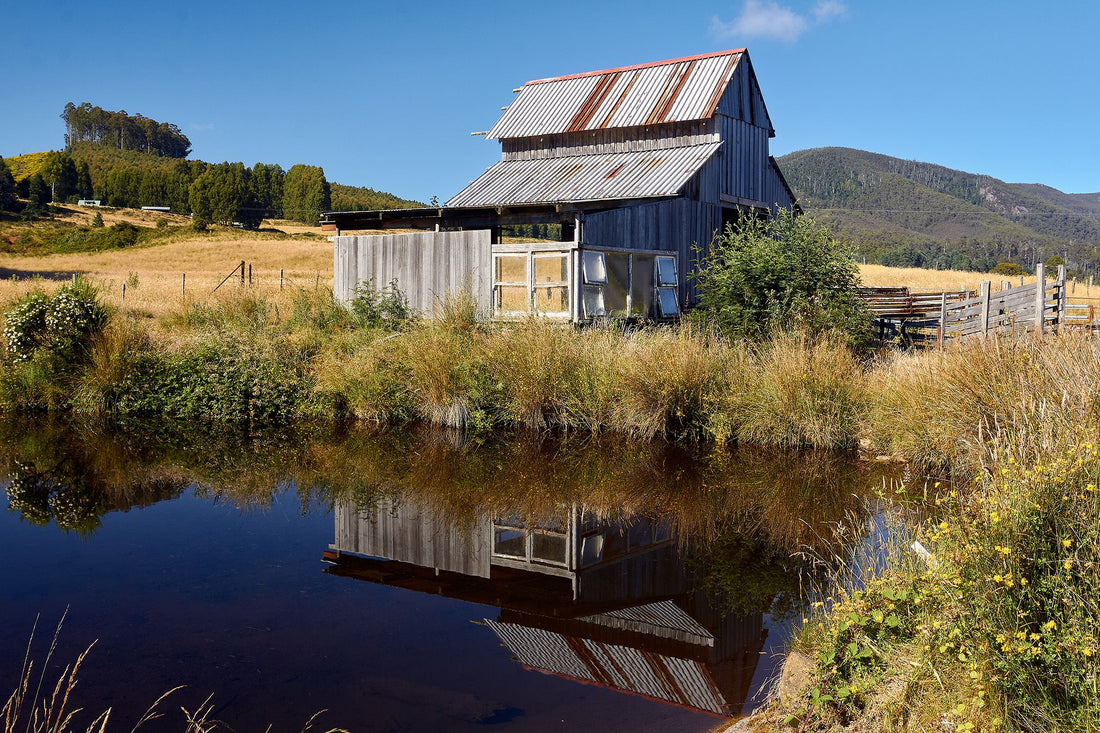 Rustic Reflection - 1