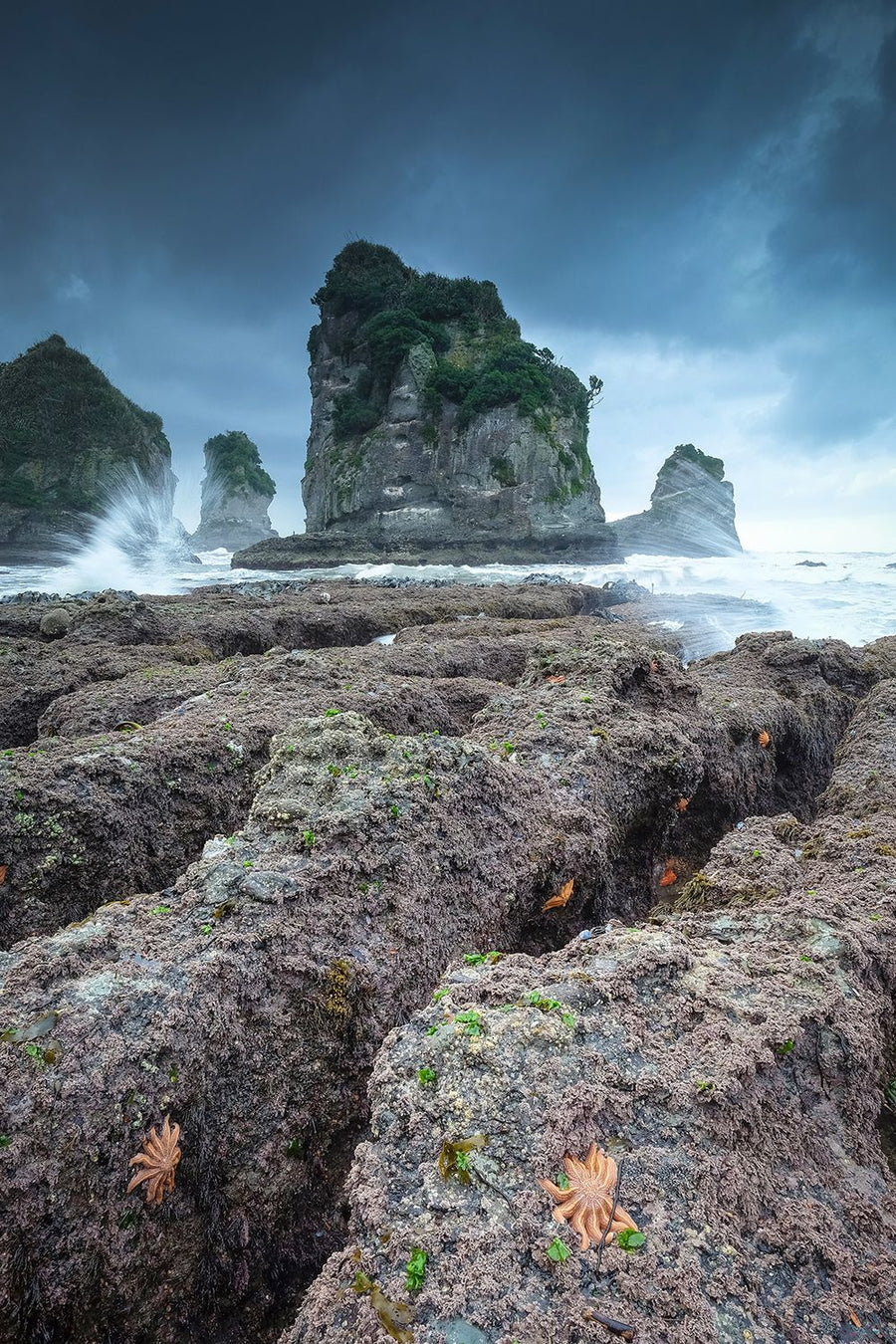 Rock Stacks and Starfish on Motukiekie Beach - 1