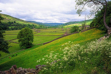 Stone Barns, Gunnerside, Yorkshire - 1