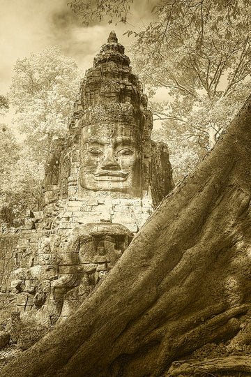 Victory Gate at Angkor Thom in Infrared, Cambodia - 1