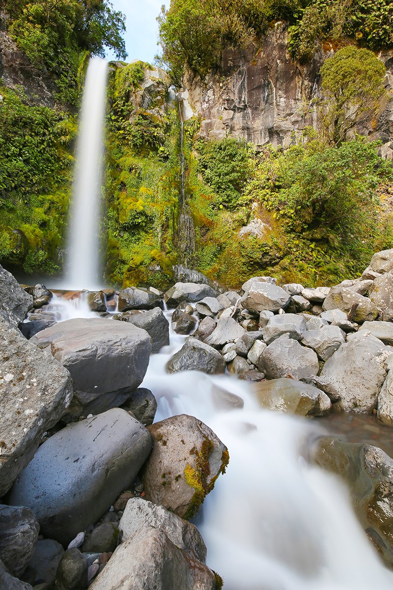 Dawson Falls, Mt Taranaki, New Zealand - 1
