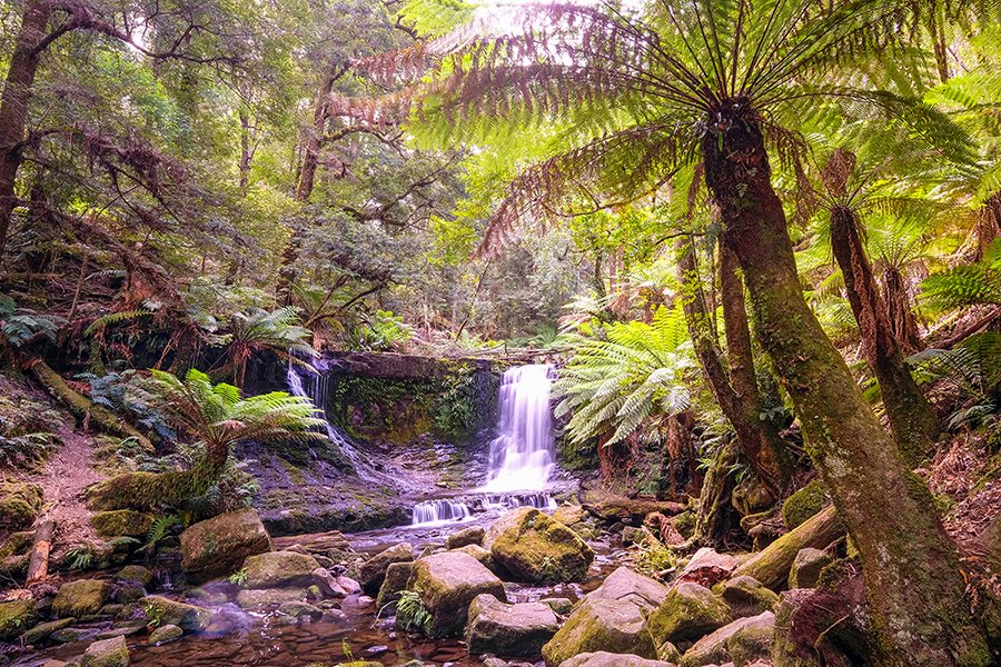Horseshoe Falls, Mt Field National Park, Tasmania - 1